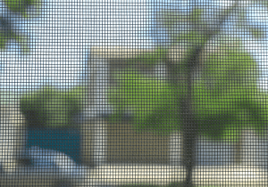window screen closeup professional screen cleaning london ontario
